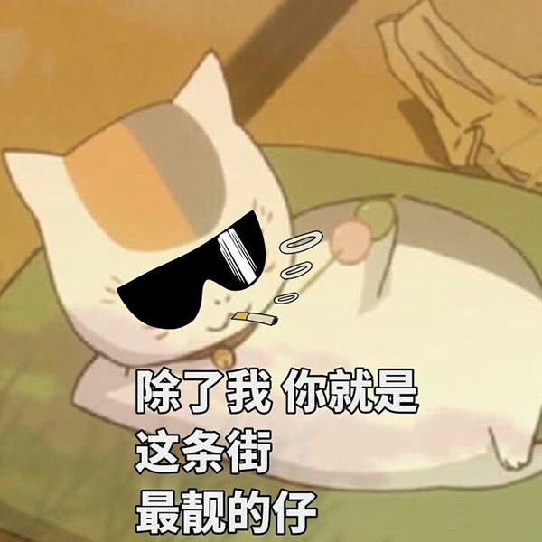 除了钱，我你就这条衔最靓的