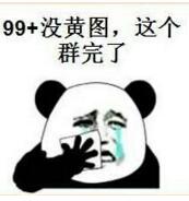 99＋没黄图，这个群完了