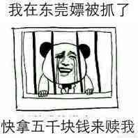 我在东莞嫖被抓了，快拿五千块钱来赎我