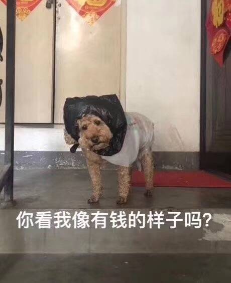 你看我像有钱的样子吗？