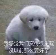 我感觉我们变得很没以前那么要好了