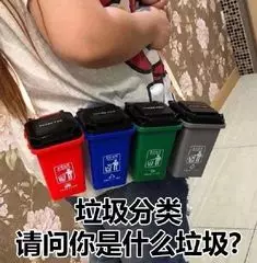 垃圾分类，请问你是什么垃圾？