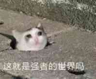 这就是强者的世界吗？