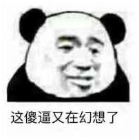 这傻逼又在幻想了