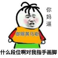 御赐黄马褂，什么段位啊对我指手画脚