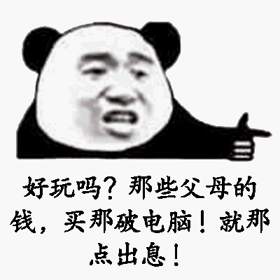 好玩吗？那些父母的钱，买那破电脑！就那点出息！