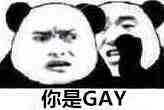 你是GAY