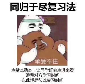 同归于尽复习法