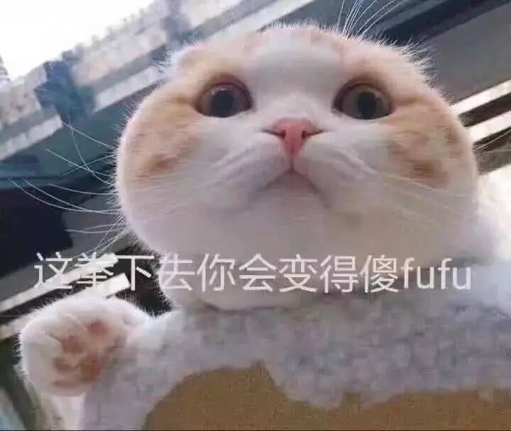 下去你会变得傻fufu的