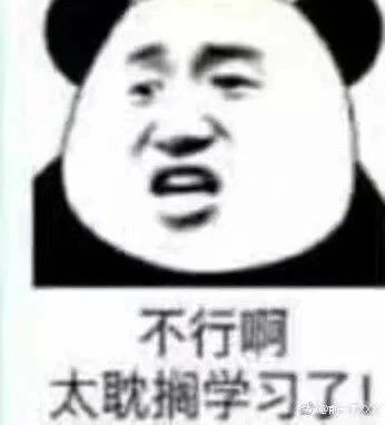 不行啊，太耽搁学习了