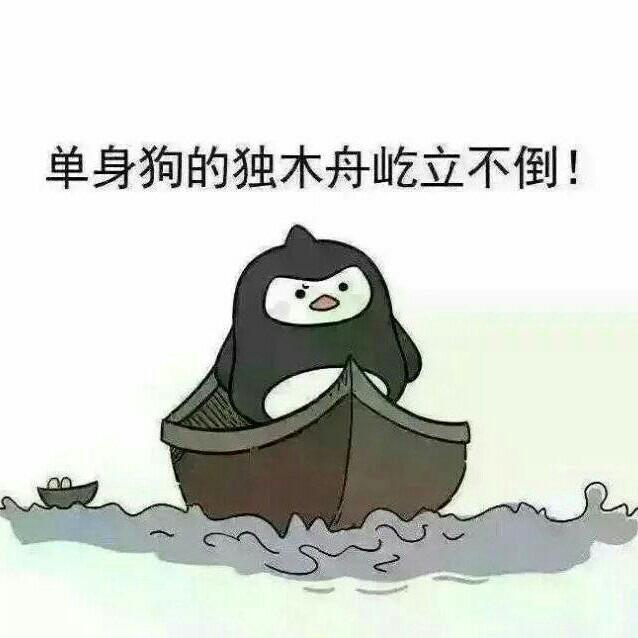 单身狗的独木舟屹立不倒！