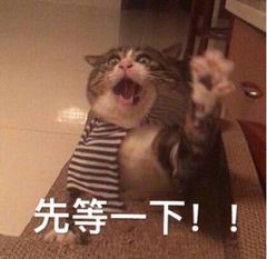 先等一下！