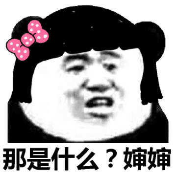 那是什么？婶婶