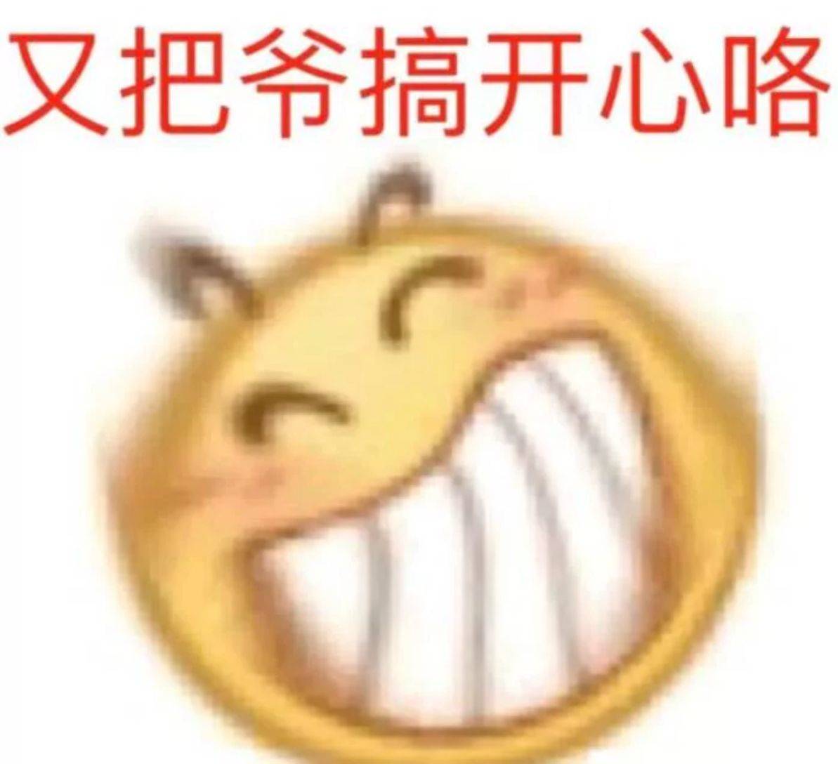 又把爷搞开心咯