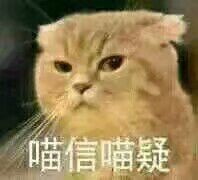 喵信喵疑