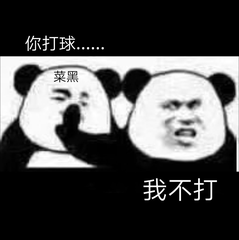 你打球菜黑我不打