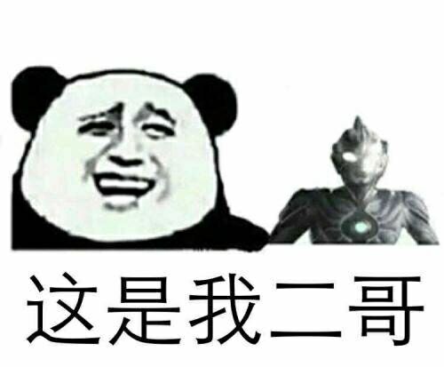 这是我二哥（熊猫人金馆长）