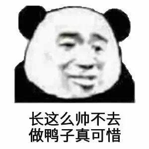 长这么帅，不去做鸭子真可惜