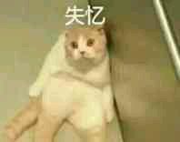 猫星人失忆