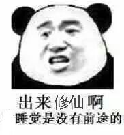 出来修仙啊，睡觉是没有前途的