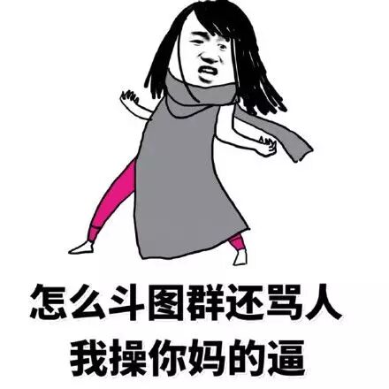 怎么斗图群还骂人，我操你妈的逼