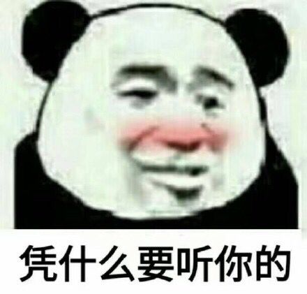 凭什么要听你的