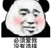 必须爱我没有诜择