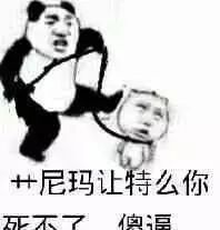 艹尼玛