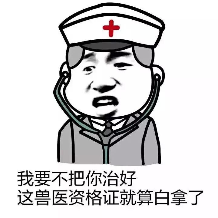 我要不把你治好，这兽医资格证就算白拿了