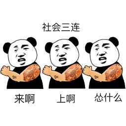 社会三连，来啊，上啊，怂什么