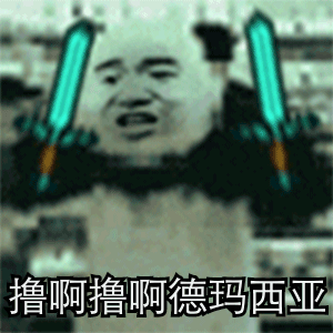 鲁啊撸啊，德玛西亚