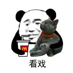 看戏（撸猫）