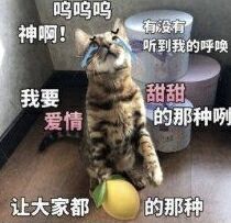 让大家都酸的那种