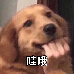 哇哦