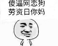 傻逼网恋狗，劳资日你妈