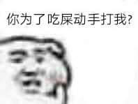 你为了吃屎动手打我？