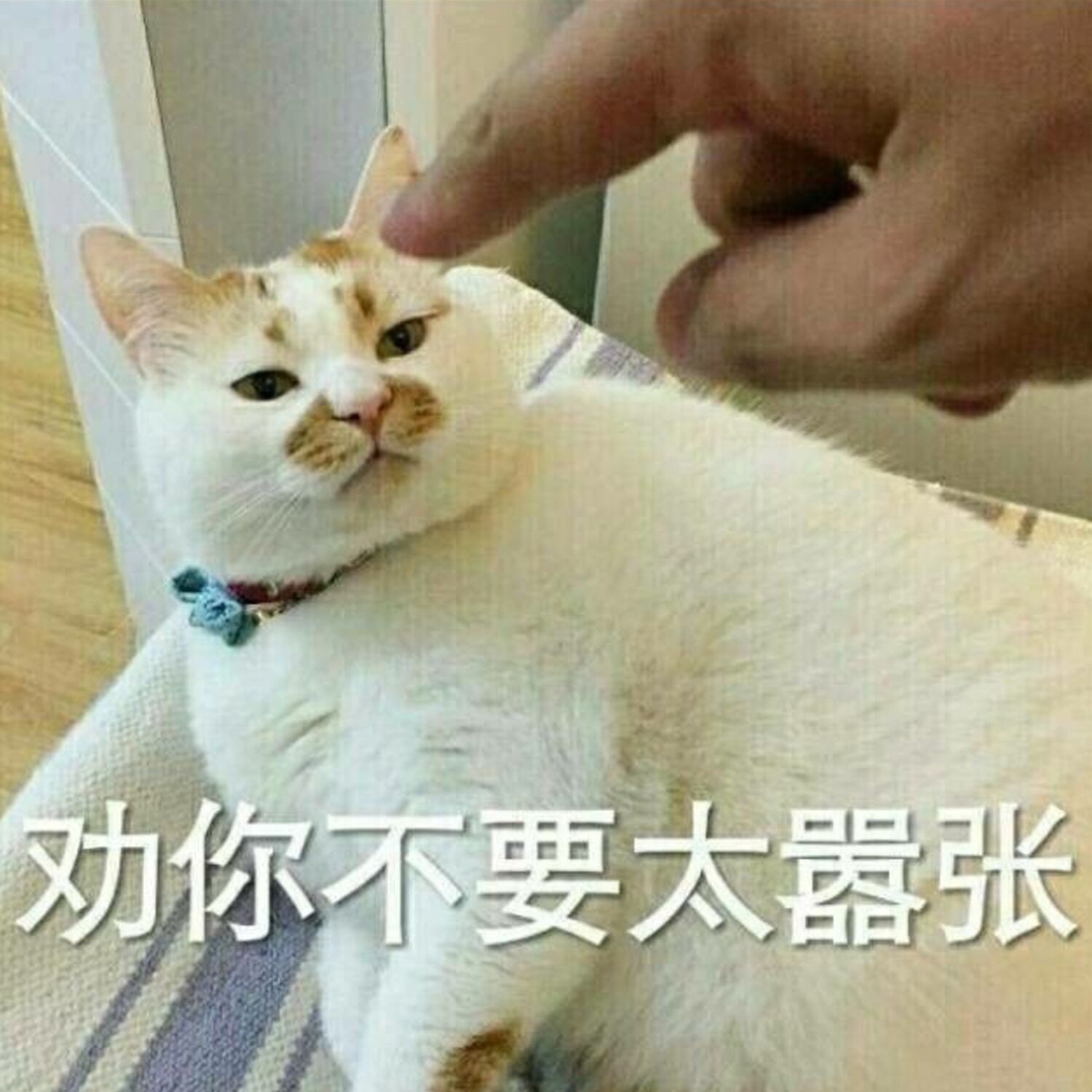 劝你不要太嚣张