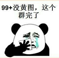 99+没黄图，这个群完了