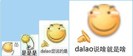 dalao说啥就是啥