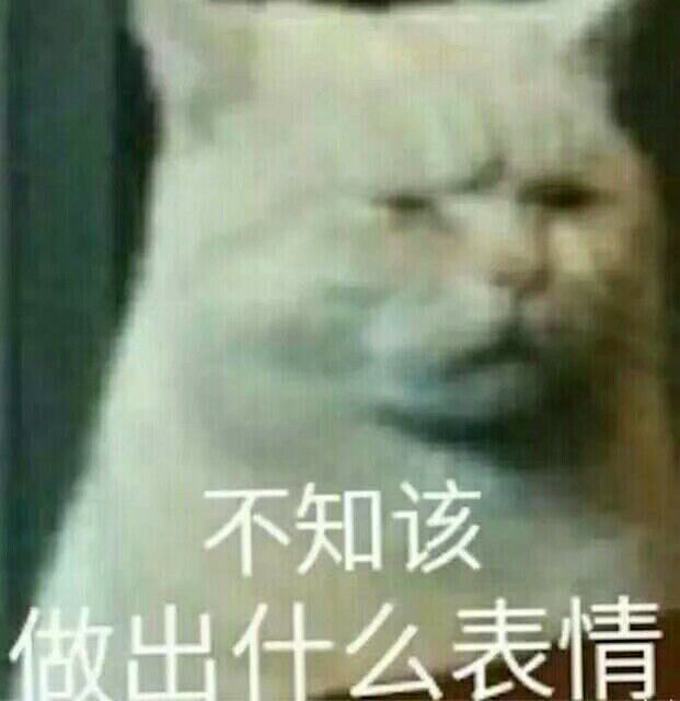 不知该做出什么表情