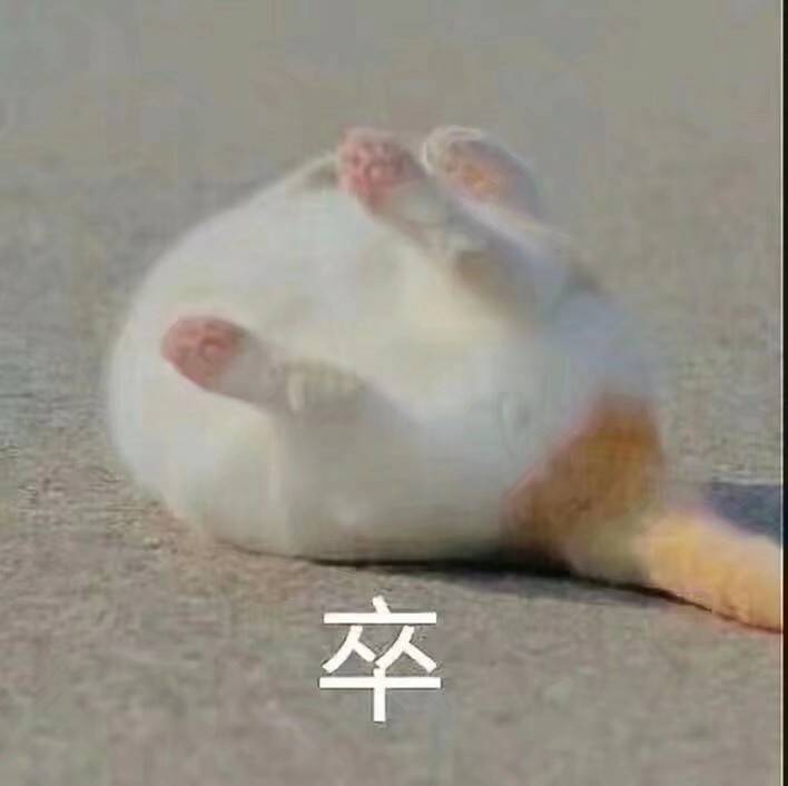 卒（死亡小猫）