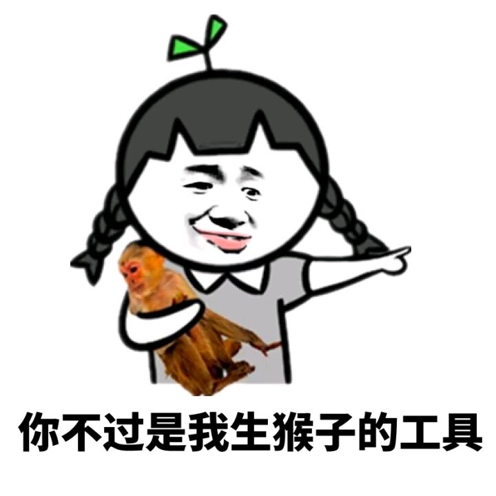 你不过是我生猴子的工具！