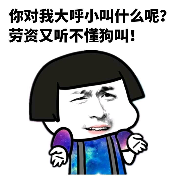 你对我大呼小叫什么呢?劳资又听不懂狗叫!