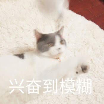 兴奋到模糊