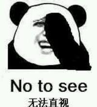 No to see（无法直视）