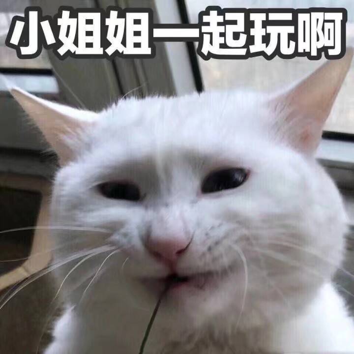 小姐姐起玩啊