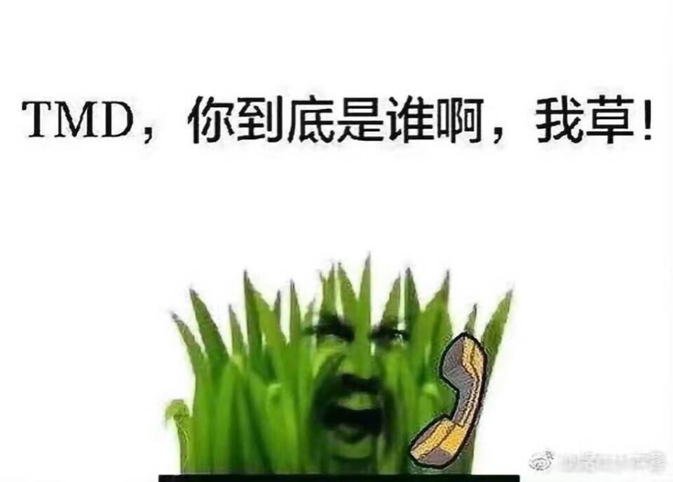 TMD,你到底是谁啊,我草!