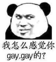 我怎么感觉你gaygay的