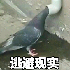 逃避现实