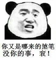 你又是哪来的煞笔，没你的事，滚！